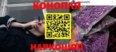 2c-b Шелехов