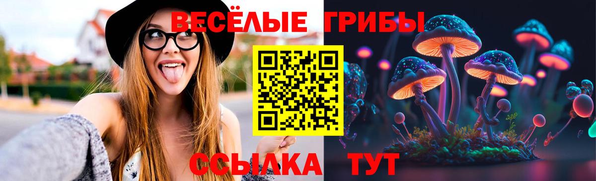 Псилоцибиновые грибы MAGIC MUSHROOMS Амурск